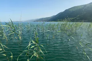 Tour image of Stand-Up-Paddle Tour on Lake Ohrid