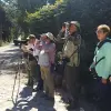 Image of Bird Watching