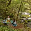 Image of Yoga Classes