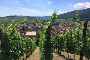Image of France