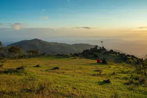 Tour image of Magical Night Walk in Monteverde