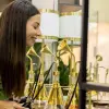 Image of Craft Classes