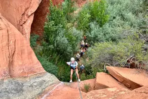 Tour image of YOU DRIVE!! Rap & Ride - A Full Day of Rappelling and UTVs