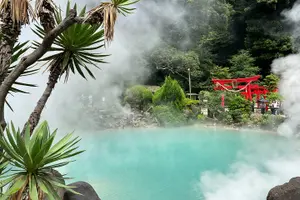 Tour image of Beppu’s Best: Kyushu African Safari & Onsen Experience