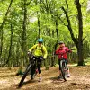 Image of Mountain Bike Tours