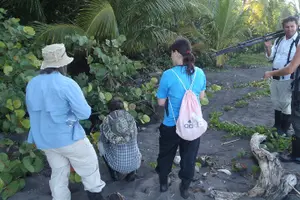 Tour image of Half-Day / Canoe and Hike in to Tortuguero National Park