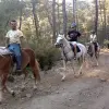 Image of Running Tours