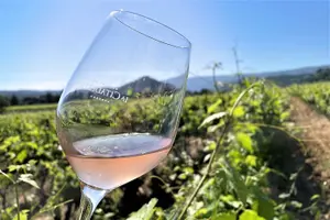 Tour image of Private Full Day Wine Tour in Provence from Toulon Cruise Port