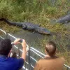 Image of Nature and Wildlife Tours