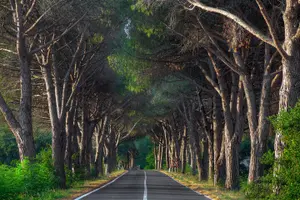 Tour image of Marmaris Yuvarlakcay Tour With Lunch and Akyaka River Cruise