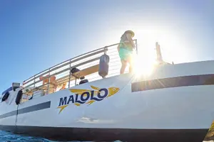 Tour image of Molokini and Turtle Town Snorkeling Adventure Aboard the Malolo