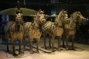 Tour image of 11-Day China Tour of Small Group to Beijing, Xian, Chengdu, Shanghai