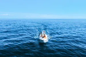 Tour image of Whale and Dolphin Watching Tour in Madeira