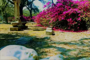 Tour image of Bonaventure Cemetery Is Forever Tour