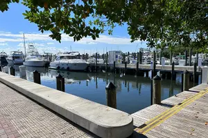 Tour image of Miami Boat Tour –Day and Night Cruises with Champagne