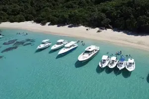 Tour image of Fajardo Puerto Rico Private Boat Tour to Cayo Icacos