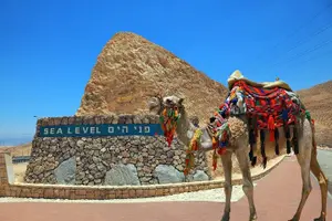 Tour image of Jerusalem and the Dead Sea from Tel Aviv