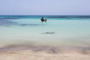 Tour image of Dunn's River Falls, River Tubing, and Horseback Riding With Transportation
