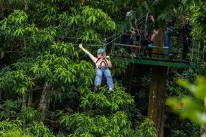 Tour image of Rainforest Canopy Adventure from Vieux Fort or North Island, St Lucia