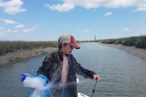 Tour image of Charleston Eco Boat Cruise with stop at Morris Island Lighthouse