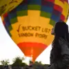 Image of In the Air