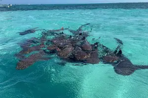 Tour image of local island style snorkeling&sighseeing excursion(3.0hrs)