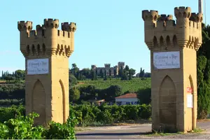 Tour image of Half Day Great Vineyard Tour from Avignon