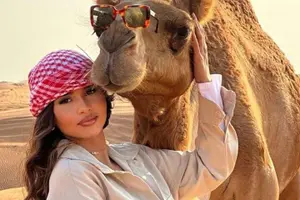 Tour image of Dubai: Evening Red Dunes Safari, BBQ Dinner & Live Shows