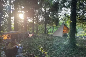 Tour image of Take a boat out to enjoy some activities at a campsite on an uninhabited island