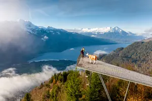 Tour image of Harder Kulm Round-Trip Funicular Tickets