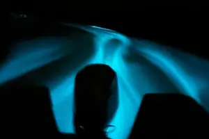 Tour image of Bioluminescence Tour & Sunset River Cruise