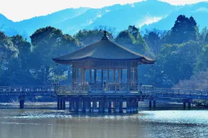 Tour image of Nara World Heritage PRIVATE TOUR
