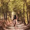 Image of Pack Animal Tours