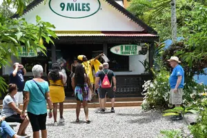 Tour image of Bob Marley's Nine Mile Day-Trip with Admission & Guided Tour from Falmouth