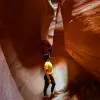 Image of Climbing