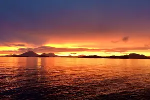Tour image of Private Charter Scenic Wildlife Excursion for Cruise Passengers