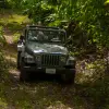Image of Motor Sports