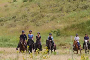 Tour image of 2-Hours Guided Drino's Valley Ride