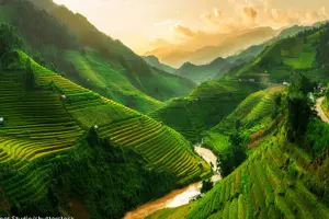 Tour image of Sapa 1 Day Trekking Tours