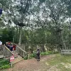 Image of Obstacle Courses