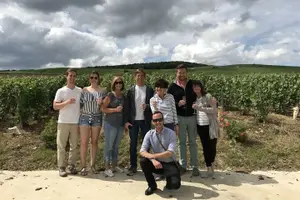 Tour image of From Reims Champagne Day Trip Veuve Clicquot Local Domain & Lunch