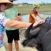 Image of Horseback Riding