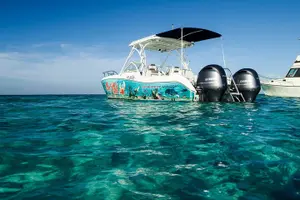 Tour image of Private Stingray City Snorkeling and BioBay Charter for 10 Guests