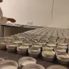 Image of Art & Culture Classes