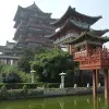 Image of Culture