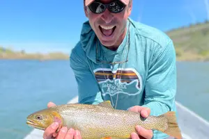 Tour image of Guided Fishing Trip in Jackson Hole