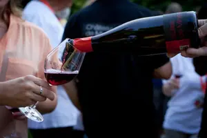 Tour image of Private tour Azay le Rideau, Langeais, Villandry and wine tasting