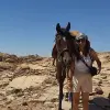 Image of Pack Animal Tours