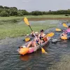 Image of Kayaking Tours