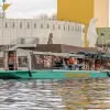 Image of Shows & Performances